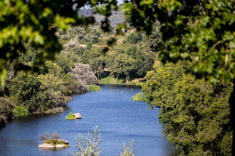 Casas Do Patio Country Houses & Nature Caldas da Felgueira Eksteriør bilde